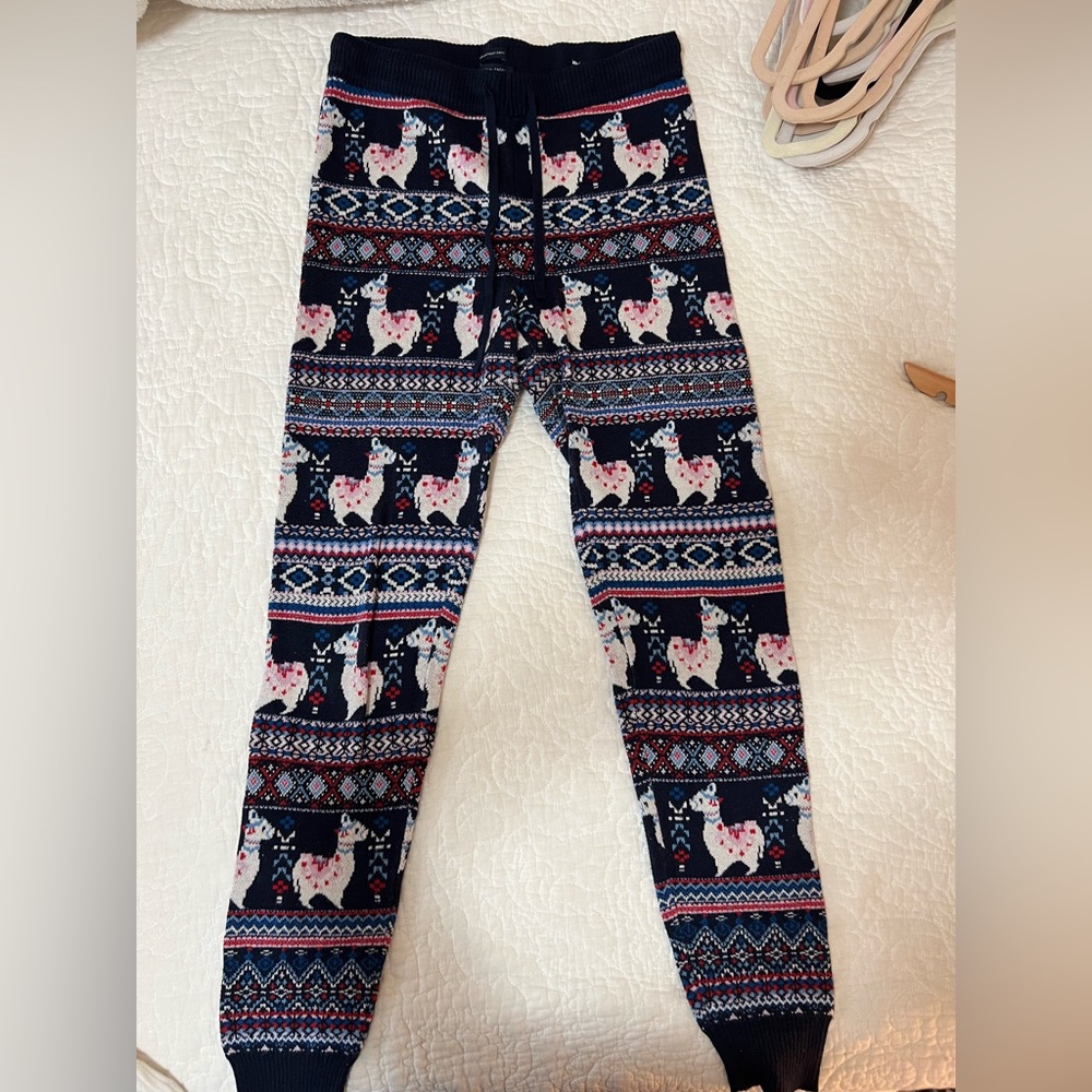 American Eagle Joggers